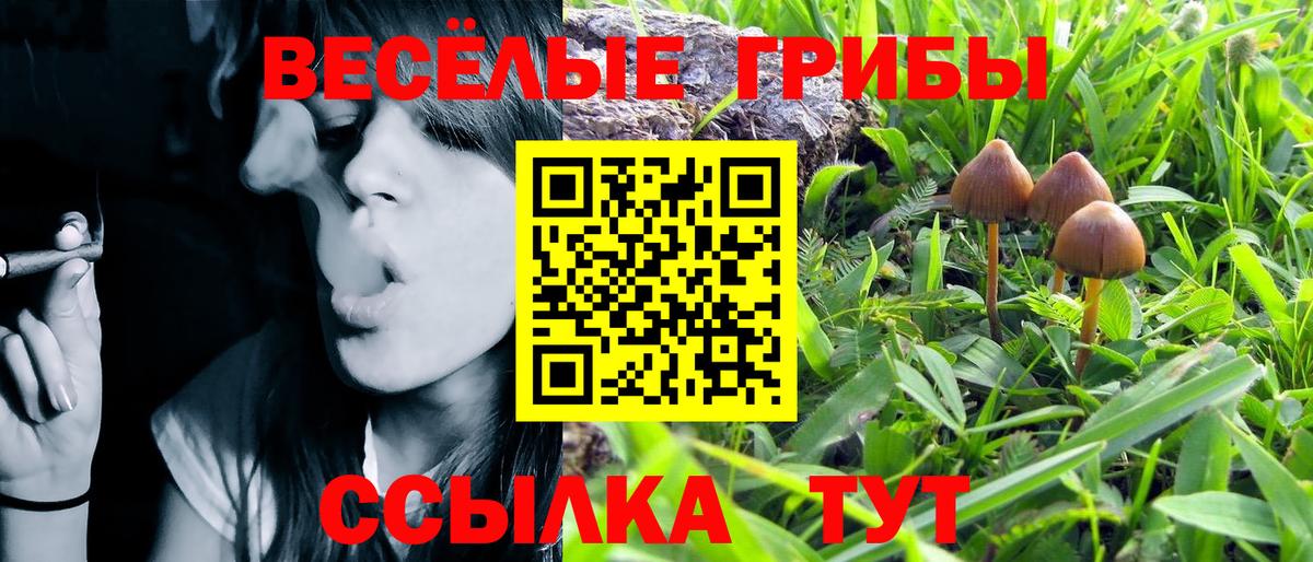 Галлюциногенные грибы прущие грибы Лесной