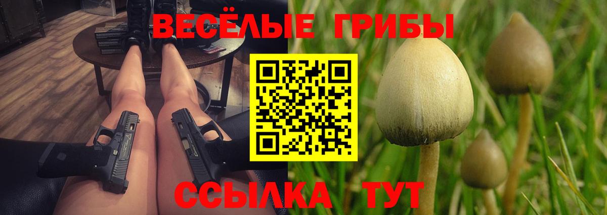 Лесной  Псилоцибиновые грибы GOLDEN TEACHER  Псилоцибиновые грибы прущие грибы  Вход с VPN 